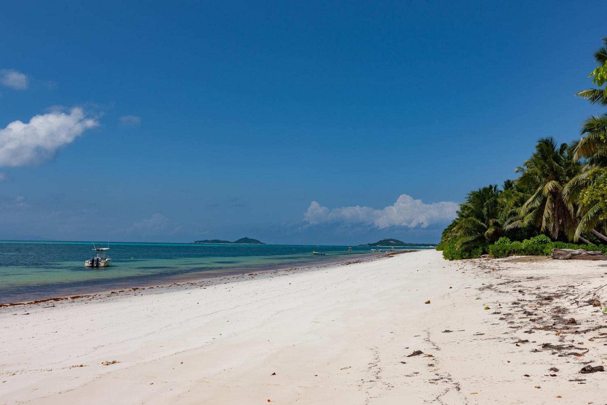 Bijoutier Apartments Grand' Anse Buitenkant foto