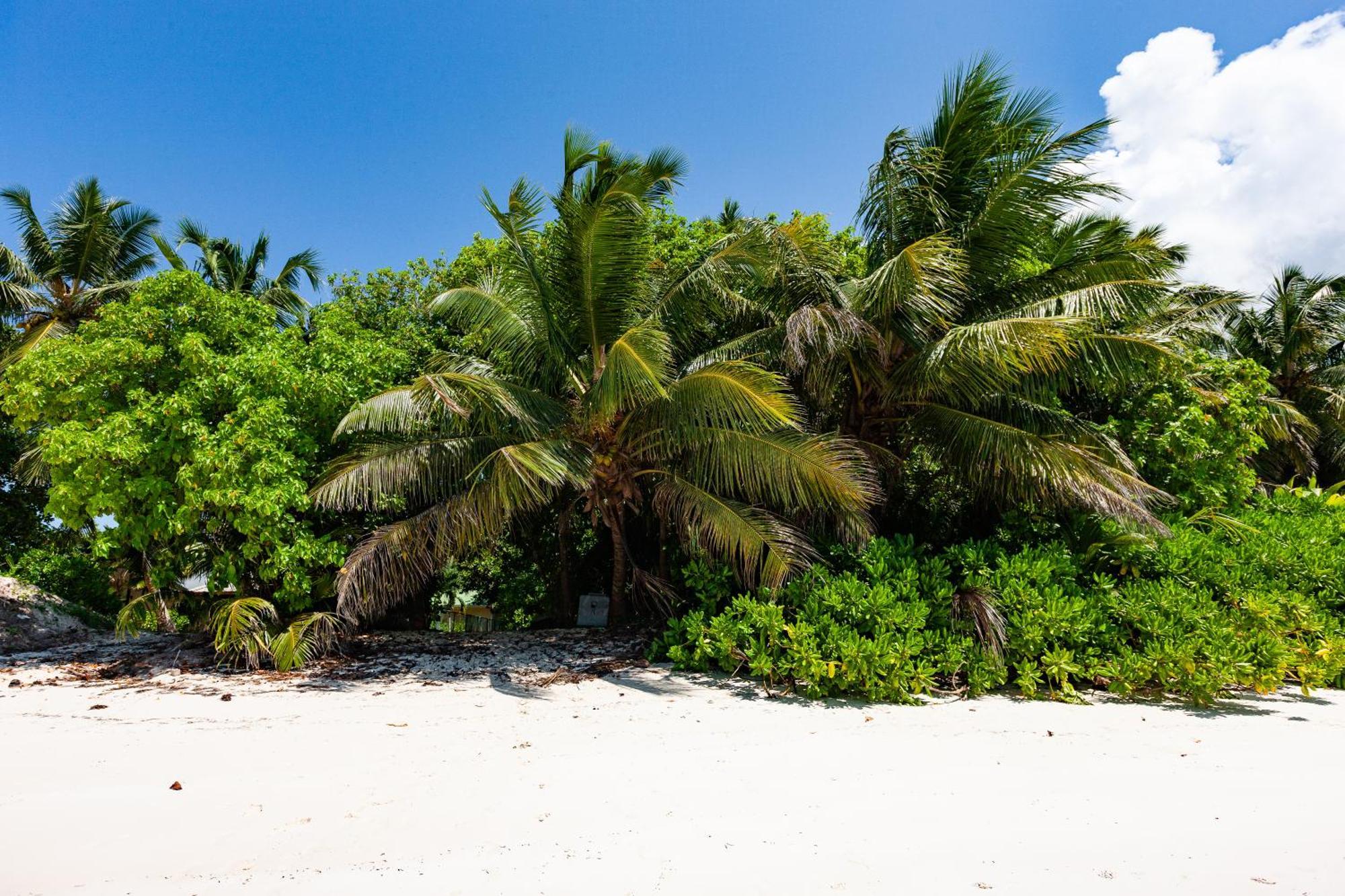 Bijoutier Apartments Grand' Anse Buitenkant foto