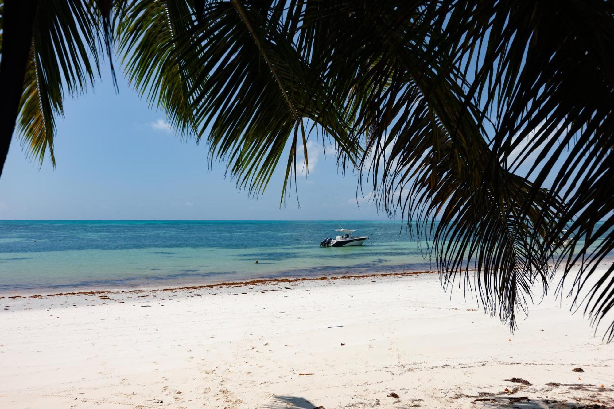 Bijoutier Apartments Grand' Anse Buitenkant foto